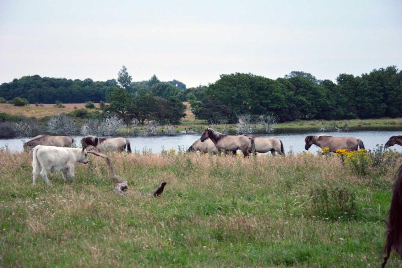 Kleine Ferienwohnung Gelting Esterno foto